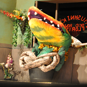 A photograph of a puppet of Audrey II from Little Shop of Horrors on-stage at a high school theater production. He is yellow with green stripes and red lips covered by many sharp teeth, the central pod tipped back in wait and his roots curled up.