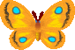 An animated gif of a yellow moth fluttering its wings.